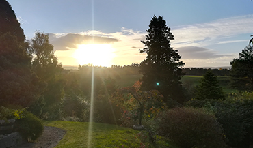 Esalen Massage Rome - Morning light